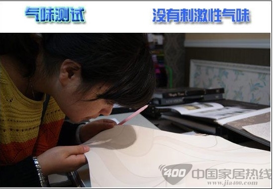 德泰探戈1300305壁纸赏析 如跳跃般的精灵带给你温暖 