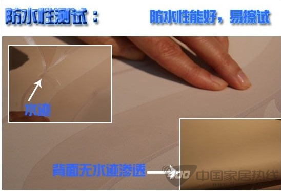 德泰探戈1300305壁纸赏析 如跳跃般的精灵带给你温暖 