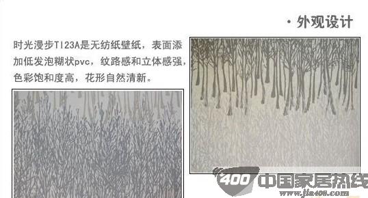 瑞宝时光漫步TI23A壁纸赏析 宛如置身于雪中森林 