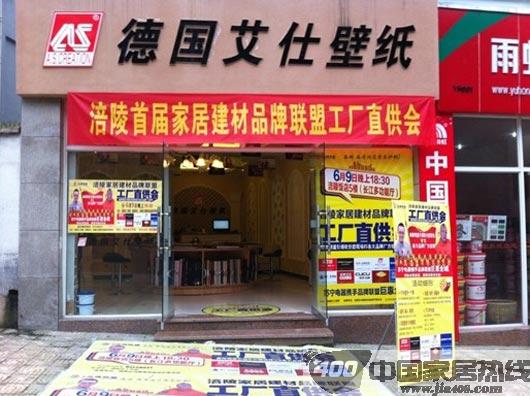 德国艾仕壁纸重庆涪陵直销会抢人眼球