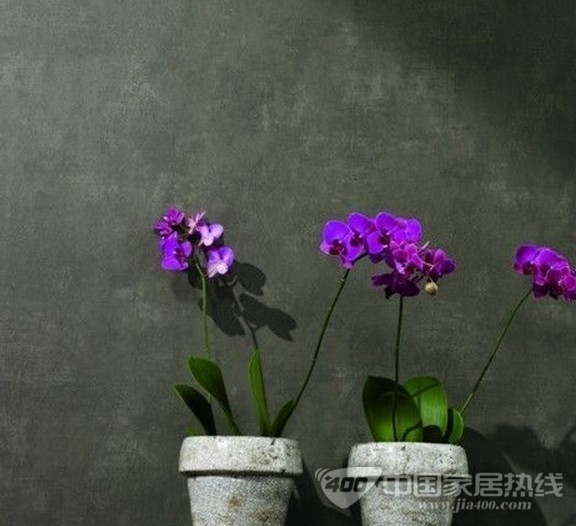 玛堡壁纸Pure东方禅语佛质氛围更独特