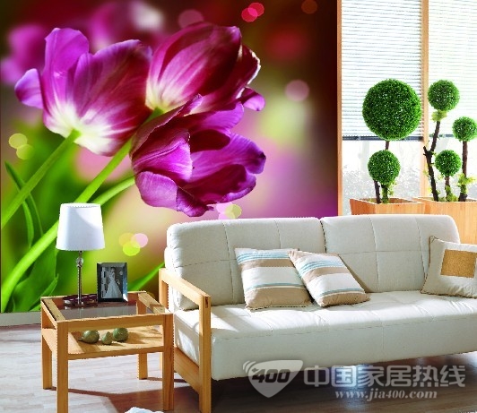 天丽墙纸：艺术墙画 个性生活