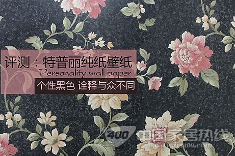 特普丽纯纸墙纸 低调魅惑柔美奢华