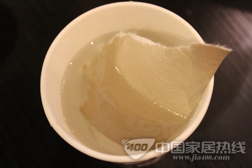 壁高墙纸 时尚与环保并存的《世纪经典》