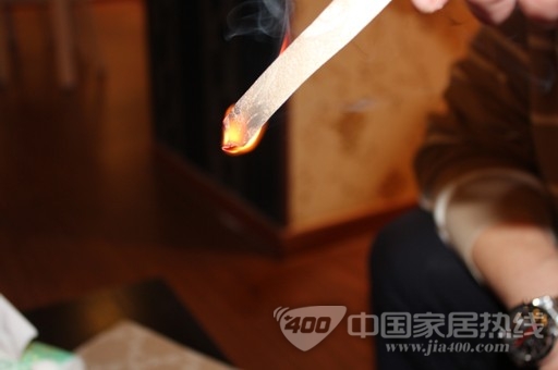 壁高墙纸 时尚与环保并存的《世纪经典》