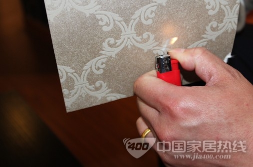 壁高墙纸 时尚与环保并存的《世纪经典》