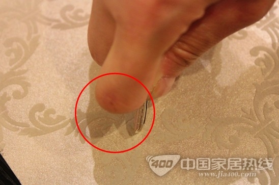 壁高墙纸 时尚与环保并存的《世纪经典》