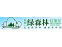 [绿森林墙纸]