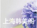 [韩美阁壁纸]