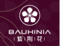 [紫荆花壁纸]摩登印象·纸为华美