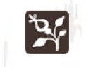 [辛德瑞拉壁纸]全国火热招商