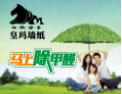 [皇玛墙纸]乐享生活、品味家居!