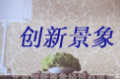 北京创新景象经贸有限责任公司