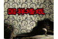 山西国祥装饰工程有限公司