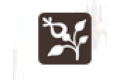辛德瑞拉(中国)壁纸有限公司