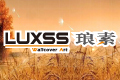 浙江琅素实业有限公司