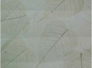 树叶系列xy8-621