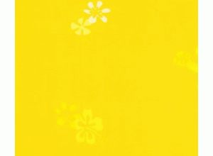 奇幻世界NPP152307