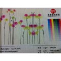 弱溶剂无纺纸 弱溶剂无纺布 弱溶剂打印墙纸 弱溶剂宣绒布 弱溶剂发泡墙纸 弱溶剂大草编 纸编墙纸