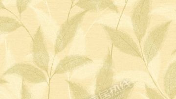 圣莉雅环保壁纸 版本非凡魅力 壁纸批发