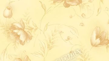 圣莉雅环保壁纸 版本朗日 家装壁纸