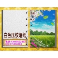 环保弱溶剂白色压纹墙纸壁画