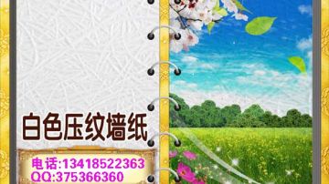 环保弱溶剂白色压纹墙纸壁画