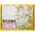 环保弱溶剂雪花纹墙纸壁画