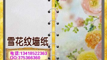环保弱溶剂雪花纹墙纸壁画