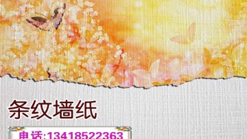 环保弱溶剂条纹墙纸壁画