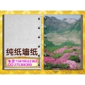 纯纸墙纸壁画