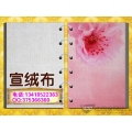 宣绒布墙纸壁画