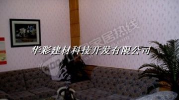 液体墙纸3