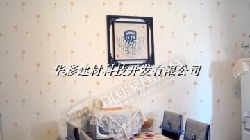 液体墙纸6