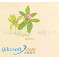 LG壁纸82128-1