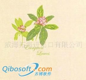 LG壁纸82128-1