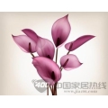 现代系列RH044-2