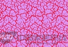 浮雕壁纸漆