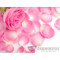 MG-0012