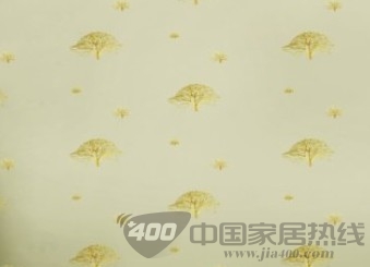 柯赛