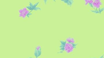 德克萨斯系列090805