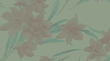 德克萨斯系列090701