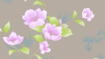 德克萨斯系列090504