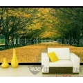 树之恋语szl-029