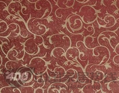 七特丽明年计划在全国新开多少家门店