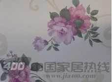 春色满园12109