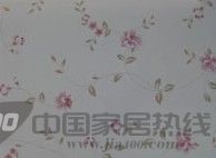春色满园12708 