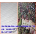 弱溶剂化纤油画布