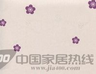 索隆620404