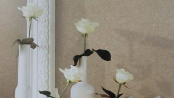 可妮莉雅NA88331